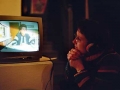 aus06_3gr.jpg